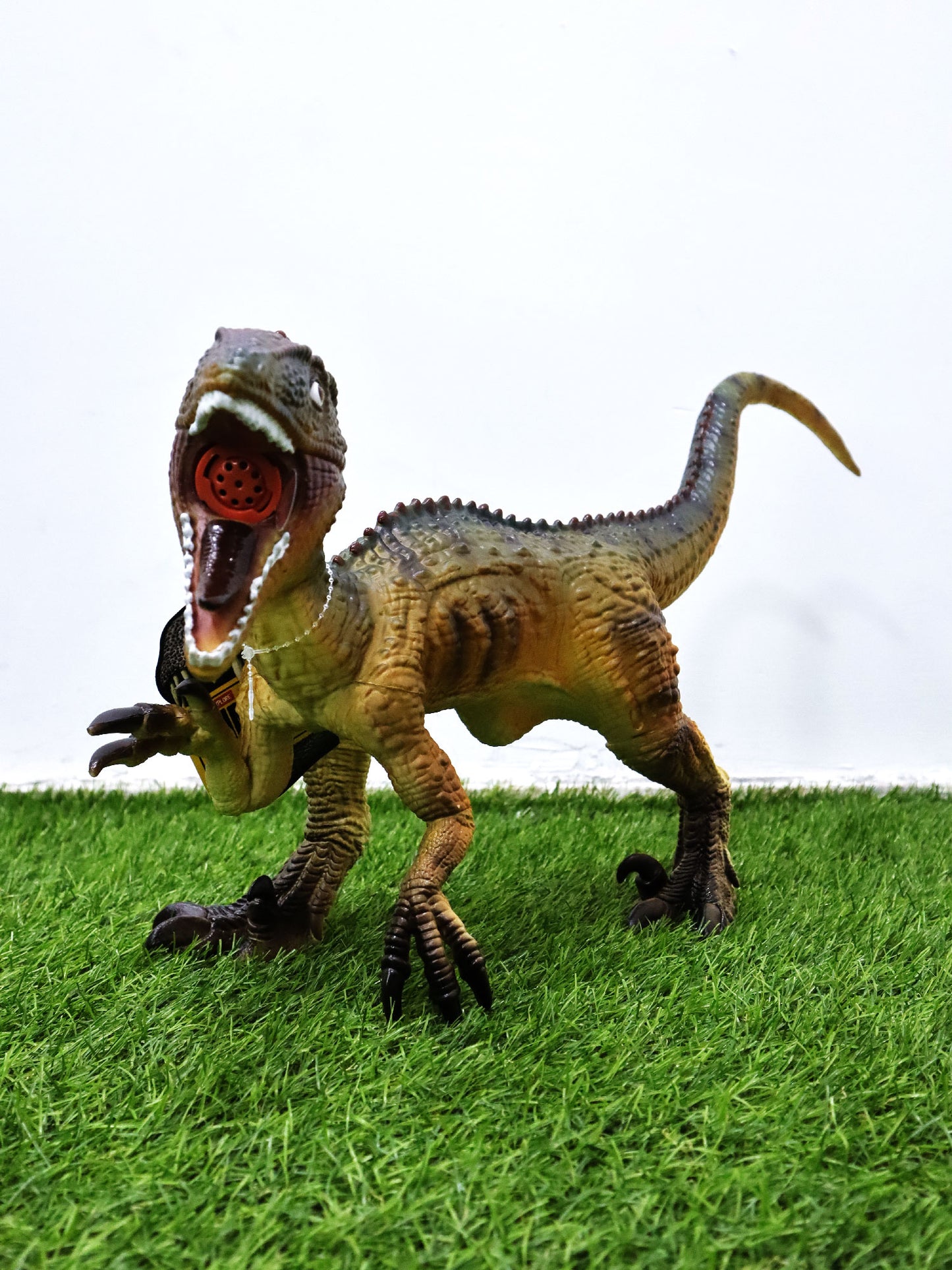 Dinosaurio - NN36