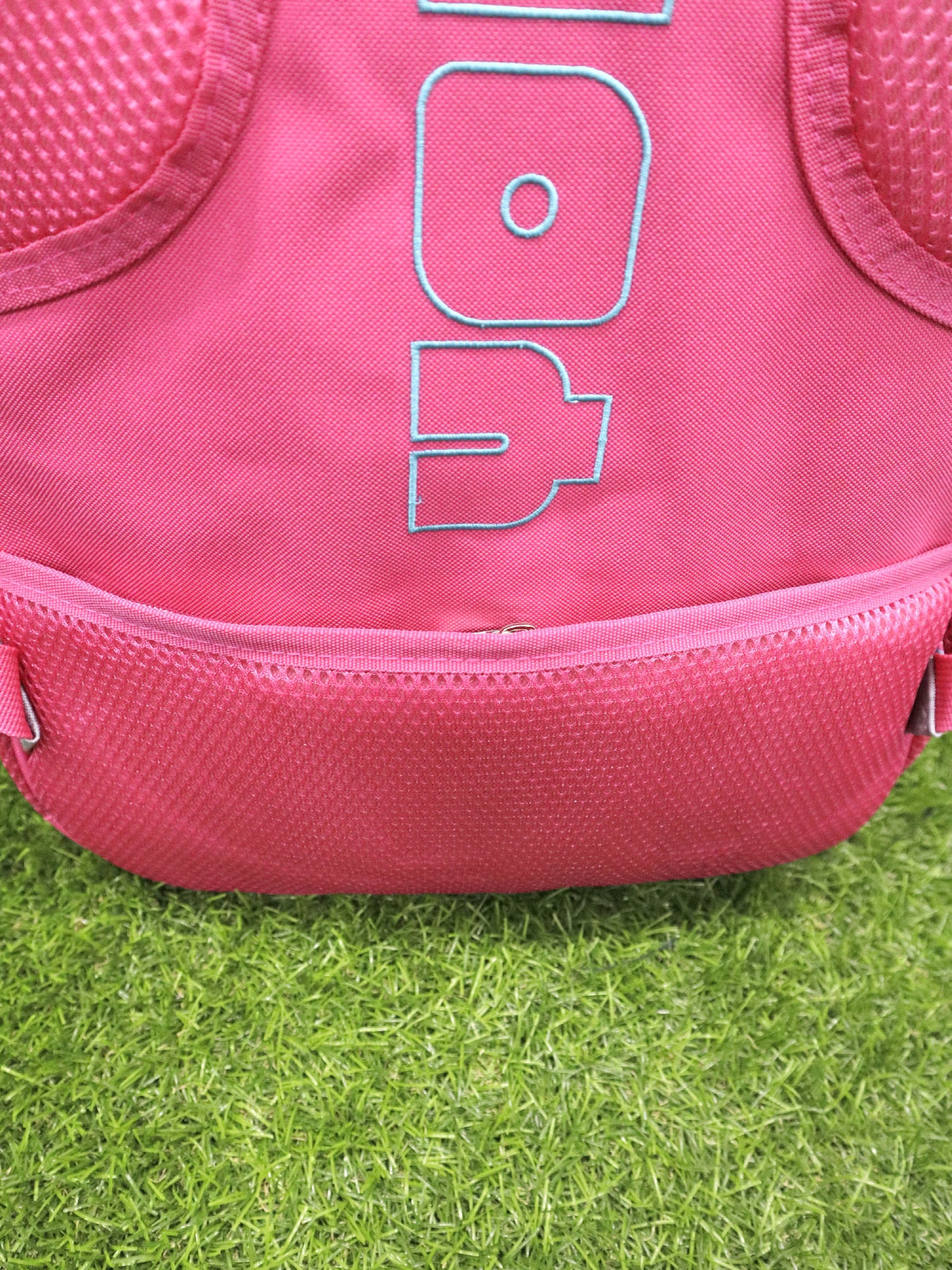 Bolso YOLO - 4235005